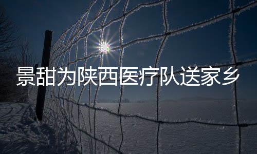 景甜為陜西醫療隊送家鄉美食 捐贈醫護穿戴用品運往湖北