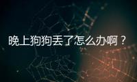晚上狗狗丟了怎么辦啊？狗在晚上丟了
