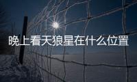 晚上看天狼星在什么位置（天狼星在什么位置）