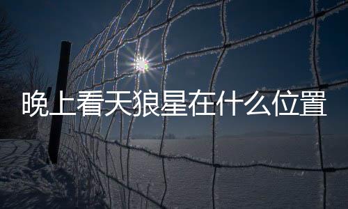 晚上看天狼星在什么位置（天狼星在什么位置）
