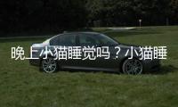 晚上小貓睡覺嗎？小貓睡覺嗎?