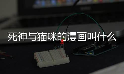 死神與貓咪的漫畫叫什么(死神與貓四格)