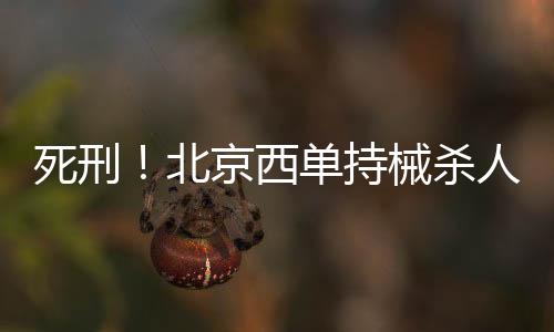 死刑！北京西單持械殺人罪犯，一審宣判！