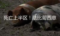 死亡上半區！法比葡西意克齊聚 荷蘭保送半決賽？