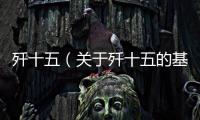 殲十五（關于殲十五的基本情況說明介紹）