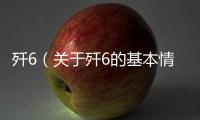 殲6（關于殲6的基本情況說明介紹）