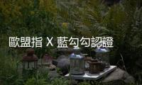 歐盟指 X 藍(lán)勾勾認(rèn)證涉誤導(dǎo)用戶，馬斯克：「法庭見(jiàn)！」