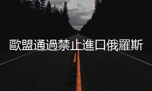 歐盟通過(guò)禁止進(jìn)口俄羅斯煤炭令　對(duì)俄船隻關(guān)閉港口
