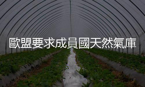 歐盟要求成員國天然氣庫存今冬前達到80%