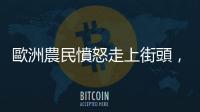 歐洲農民憤怒走上街頭，歐盟不得不正視「共同農業政策」改革的必要性