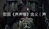歌曲《聲聲慢》含義（聲聲慢歌詞是什么意思）
