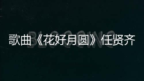 歌曲《花好月圓》任賢齊（花好月圓歌詞任賢齊）
