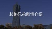 歧路兄弟劇情介紹