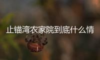 止錨灣農家院到底什么情況?