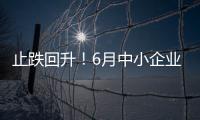 止跌回升！6月中小企業發展指數全面向好，住宿餐飲業漲幅最大｜快訊