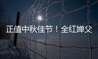 正值中秋佳節！全紅嬋父親切200斤大月餅送游客，制作月餅花三天