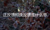 正反饋和負反饋是什么意思（正反饋與負反饋的區別）