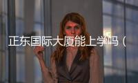 正東國際大廈能上學嗎（正東國際大廈）
