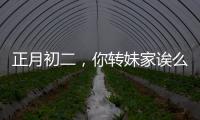 正月初二，你轉妹家誒么？