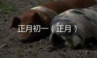 正月初一（正月）