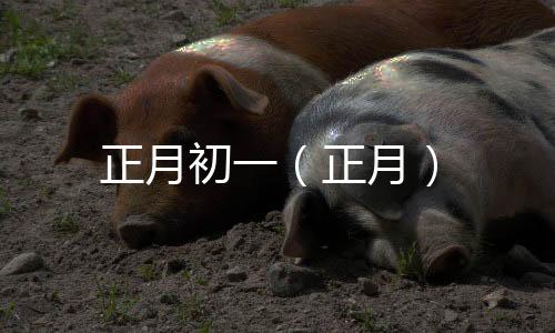 正月初一（正月）