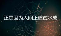 正是因為人間正道試水成功