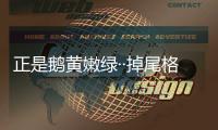 正是鵝黃嫩綠··掉尾格 （聊齋志異篇目）