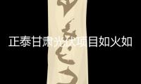 正泰甘肅光伏項目如火如荼,企業新聞