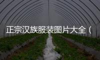 正宗漢族服裝圖片大全（正宗漢族服裝圖片大全集）