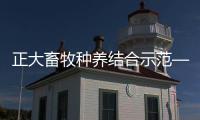 正大畜牧種養結合示范—— 六頭豬“養肥”三分地