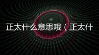 正太什么意思哦（正太什么意思）