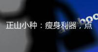 正山小種：瘦身利器，點(diǎn)亮你的健康之路！