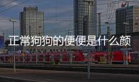 正常狗狗的便便是什么顏色(狗狗便便應該是什么顏色)