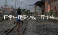 正常生蠔多少錢一斤（生蠔多少錢一斤）