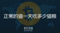 正常的貓一天吃多少貓糧?  正常貓一天吃多少罐頭