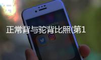 正常背與駝背比照(第1頁)（正常背與駝背比照）