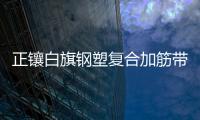 正鑲白旗鋼塑復(fù)合加筋帶齊全