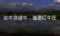 此牛非彼牛，誰是紅牛在中國的“牽牛人”