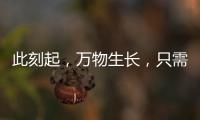 此刻起，萬物生長，只需加速，無需加油！