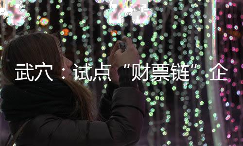武穴：試點(diǎn)“財票鏈”企業(yè)實惠多