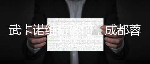 武卡諾維奇破門，成都蓉城下半場連進2球！梅州客家1∶2遭逆轉