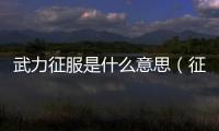 武力征服是什么意思（征服是什么意思）