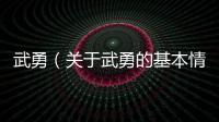武勇（關于武勇的基本情況說明介紹）