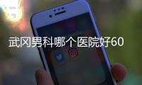 武岡男科哪個醫院好60s便知，想了解武岡市人民醫院戳這