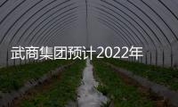 武商集團預計2022年凈利潤同比下降53.48%