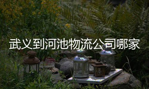 武義到河池物流公司哪家好？全面評估與比較