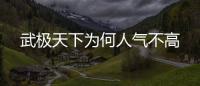 武極天下為何人氣不高