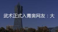 武術正式入青奧網友：大師們去比劃比劃[狗頭.jpg]