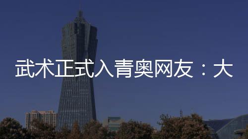 武術(shù)正式入青奧網(wǎng)友：大師們?nèi)ケ葎澅葎漑狗頭.jpg]