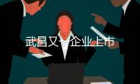 武昌又一企業上市